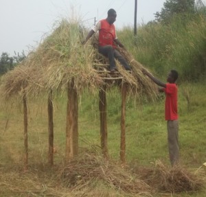 Building the huts
